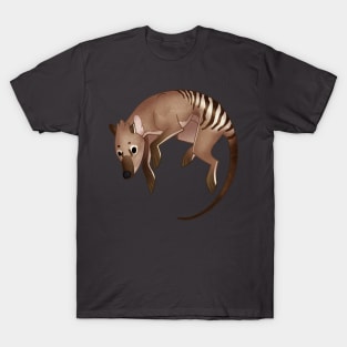 Cozy Thylacine T-Shirt